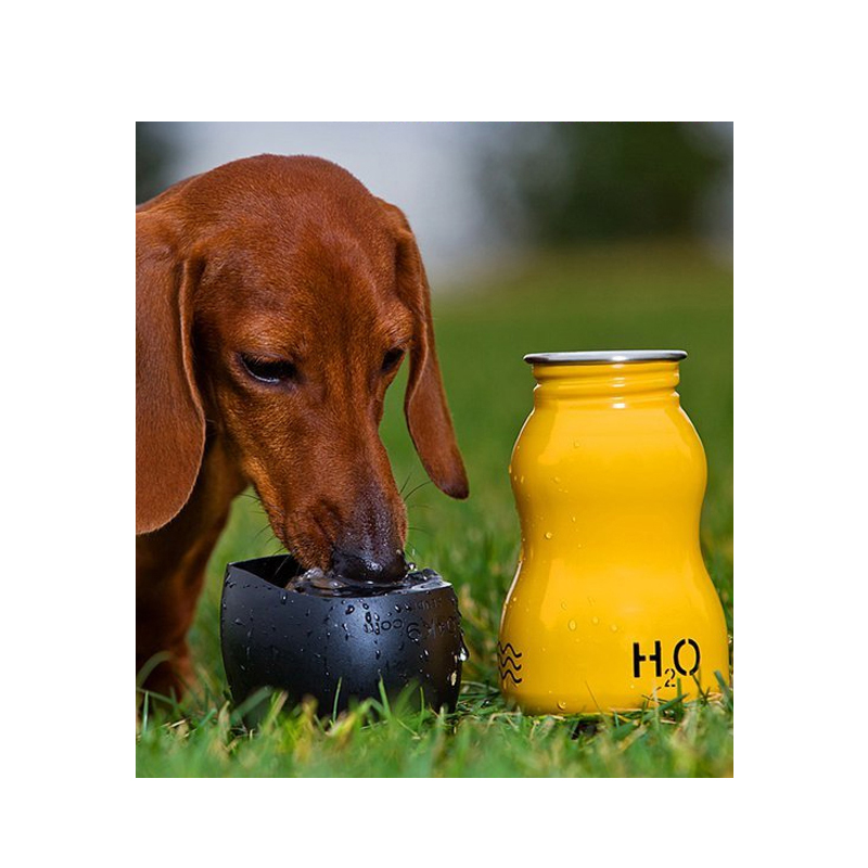 H2O4K9 Stainless Steel Dog Bottle