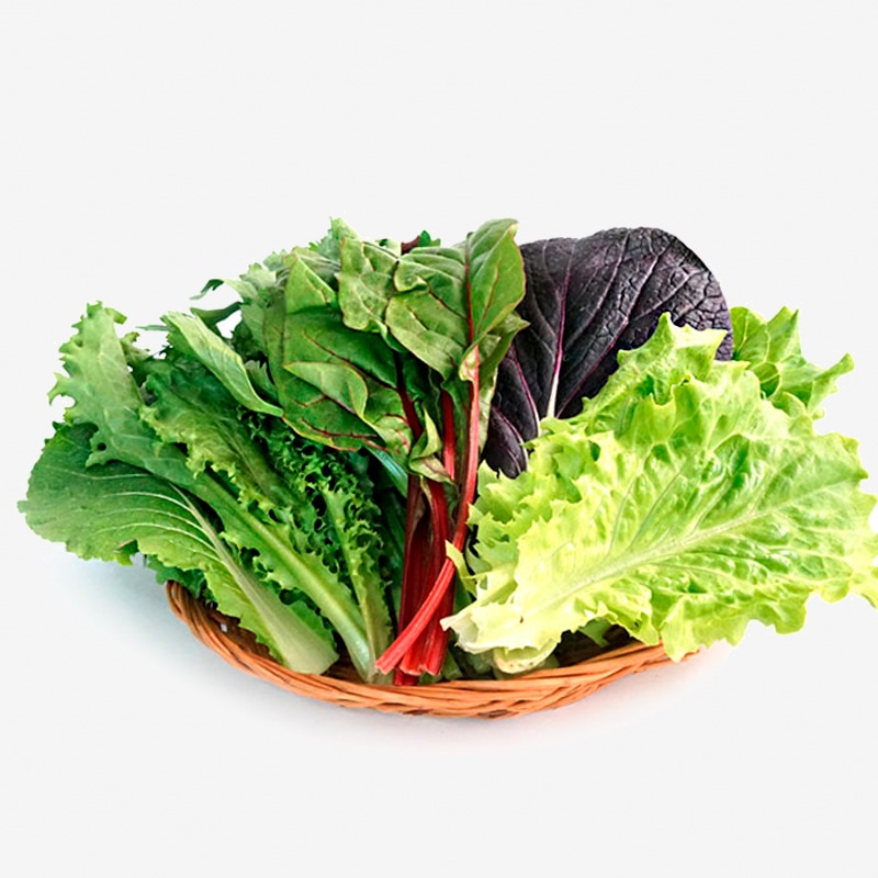 쌈채소 샐러드채소 유기농 [채소의 미래] 600g,1kg