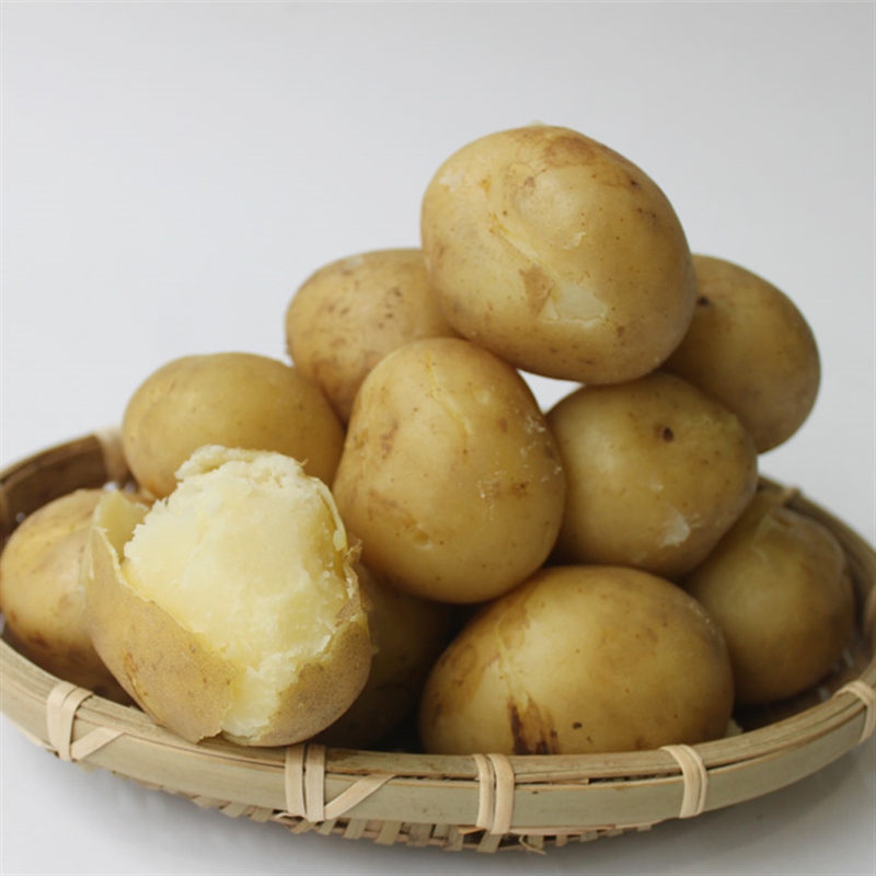 유기농 새봉 감자