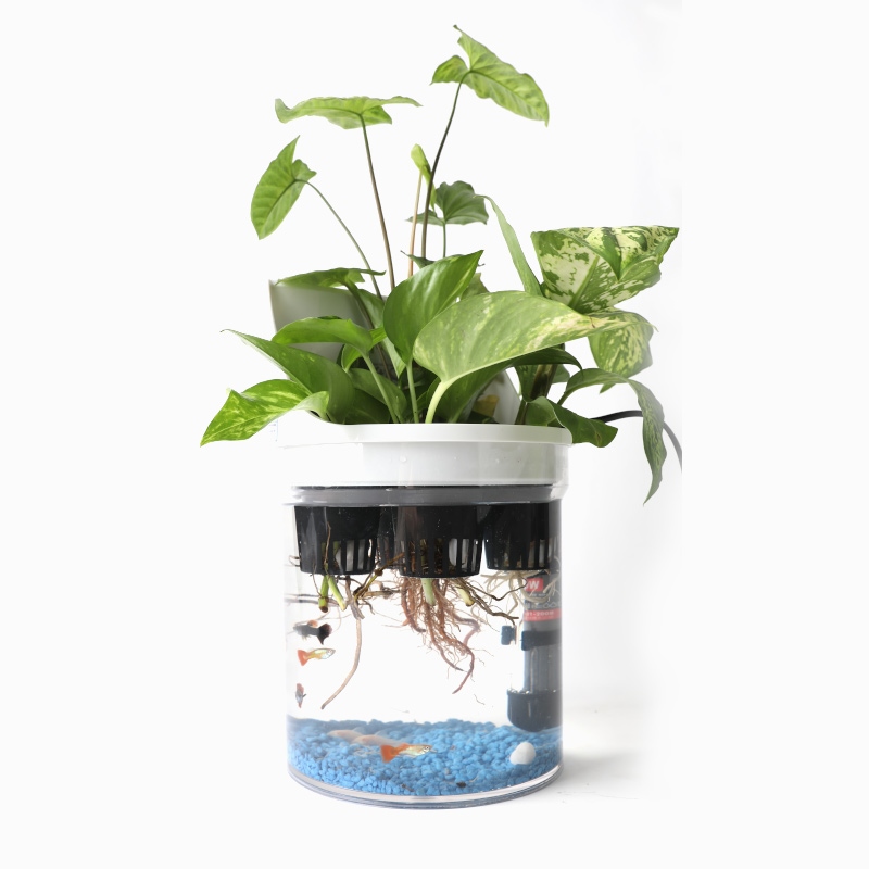 에어톡스 아쿠아팟 수경재배 공기정화기(식물포함)